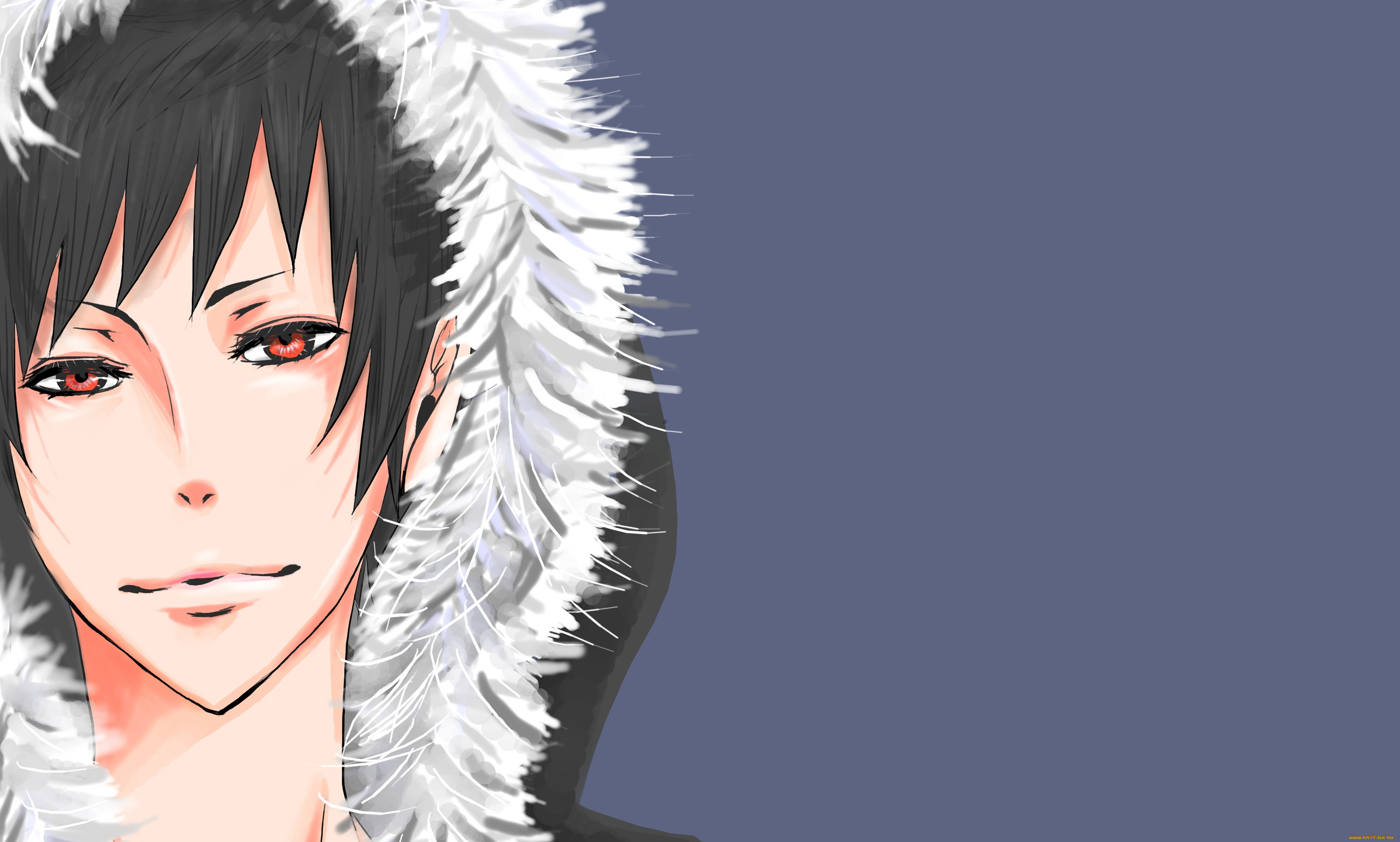 , durarara, orihara, izaya, , 